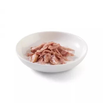 SCHESIR želejā Tuna - mitrā kaķu barība - 85 g