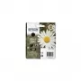 Epson Daisy Singlepack Melns 18XL Claria Home tintes kasetne augsta (XL) ietilpība, melns, pigmenta bāzes tinte, 1 gab.