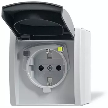 Busch-jaeger 2CKA003116A0664 Pelēks