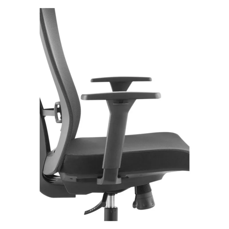 Ergonomisks premium klases krēsls Ergo Officer ER-414