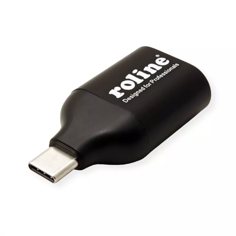 ROLINE 12.03.3228 USB grafikas adapteris 1920 x 1080 pikseļi melns (12.03.3228)