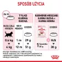 Royal Canin Kitten sausā kaķu barība 2 kg — mājputnu (vistas) formula, olbaltumvielas 36%, tauki 18%