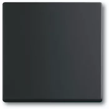 Gaismas slēdzis Busch-Jaeger 1751-0-3041, plastmasas korpuss, melns, pogas, 63×63 mm