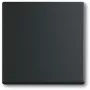 Gaismas slēdzis Busch-Jaeger 1751-0-3041, plastmasas korpuss, melns, pogas, 63×63 mm