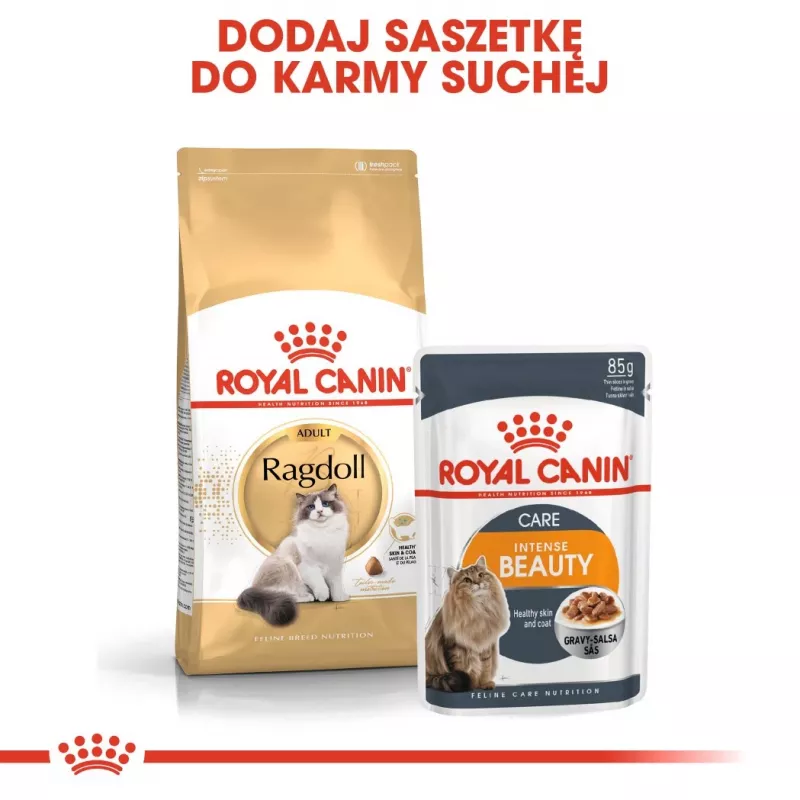 Sausā kaķu barība Royal Canin Ragdoll Adult 2 kg — vistas, 32% olbaltumvielu, 18% tauku