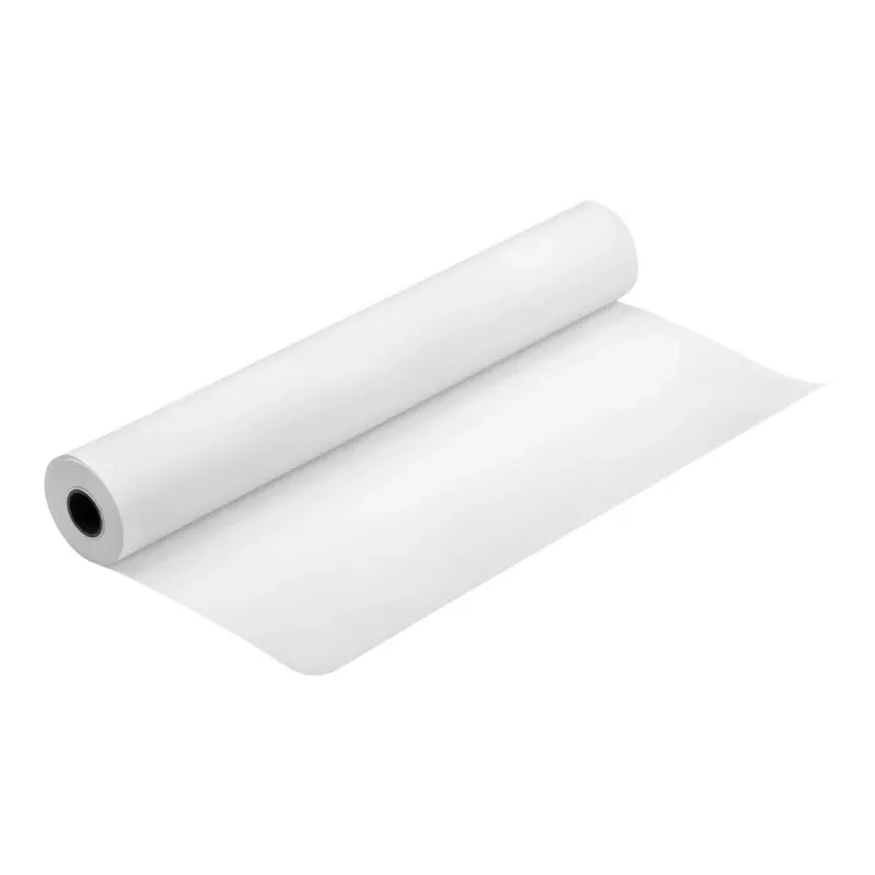 Epson Production Canvas Matte, 610mm x 12,2m, 12.2 m, 61 cm, 61 cm (24 collas), matēts, 320 g/m²