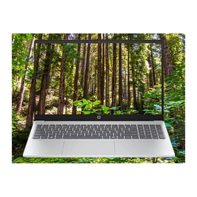 HP OmniBook C94P6EA - Klēpjdators - 39,6 cm (C94P6EA#ABD)