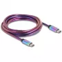 DeLOCK USB kabelis USB 2.0 2m USB C Daudzkrāsains 81116