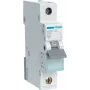 Hager MBN106. Maiņstrāvas ieejas frekvence: 50/60 Hz, nominālā izejas strāva: 6 A (MBN106)