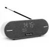 Technisat DigitRadio BT 2 gaiši pelēks (0001/3973)