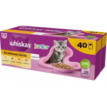 Mitrā kaķu barība Whiskas Junior mājputnu gaļa želejā 40 x 85 g — kaķēniem