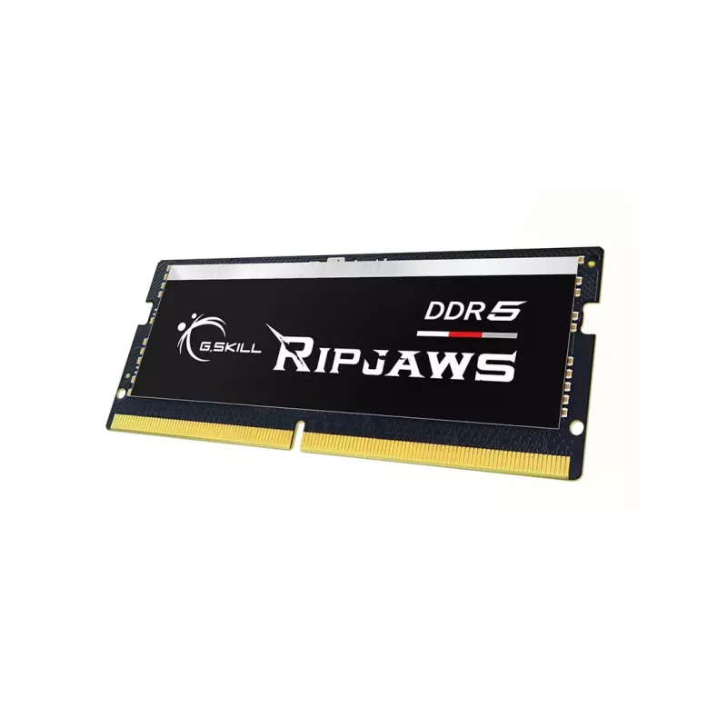 G.SKILL Ripjaws DDR5 SO-DIMM 16 GB (F5-5600S4040A16GX1-RS)