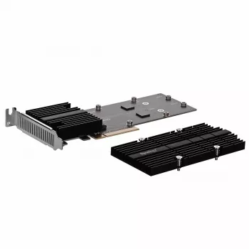 Synology M2D20 interfeisa kartes/adapteris iekšējais PCIe