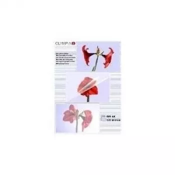 Laminēšanas plēves Olympia 1x100 DIN A4 125 mikroni