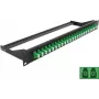 Plāksteru panelis 1U DeLOCK 43387