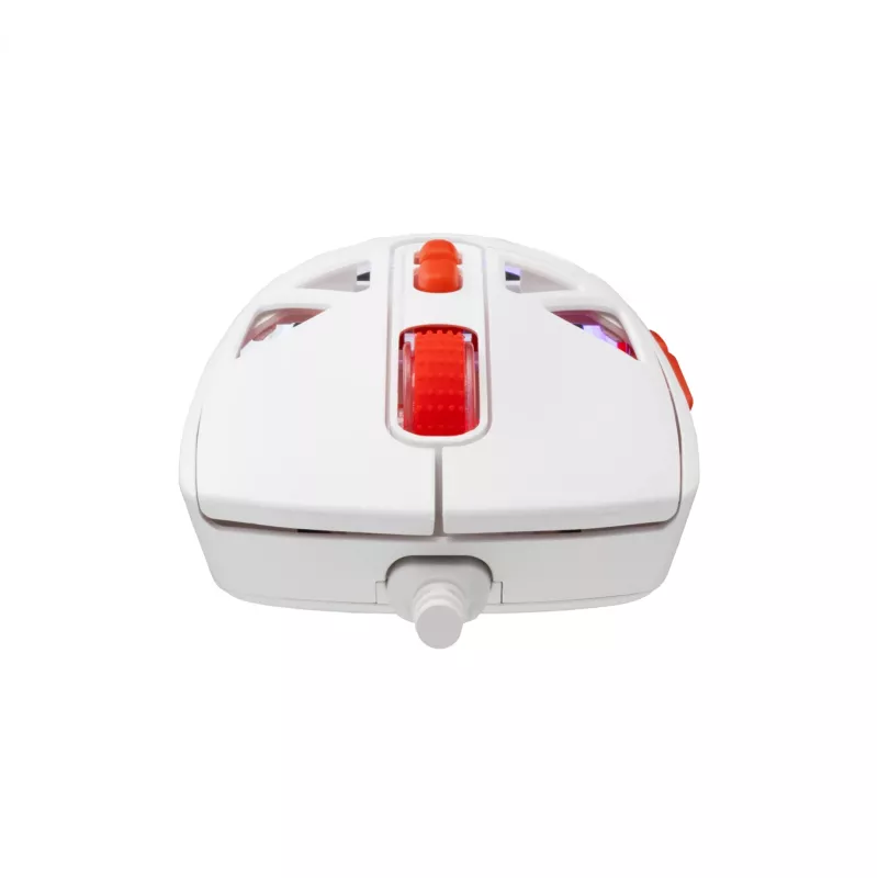 Pele Baracuda BGM-092 Seal balta SEAL-W