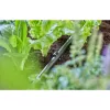 Šļūtenes turētājs Gardena 13208-20 Melns Novietošanai uz zemes