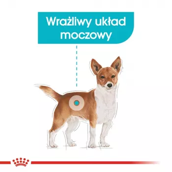 Sausā suņu barība Royal Canin Mini Urinary Care 3 kg — mazas šķirnes, mājputni, 27% olbaltumvielu, 16% tauku