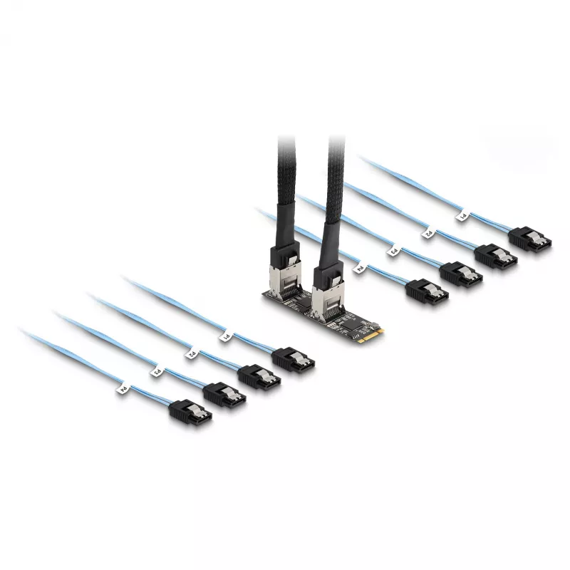 DeLOCK pārveidotājs M.2 2280 Key B+M vīrišķais uz 8 x SATA