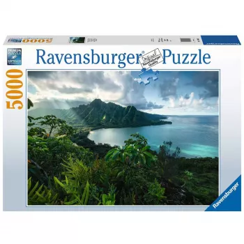 Contour puzzle Ravensburger 16106 5000 gab. Flora