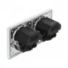 Delock sienas kontaktligzda ar 2 ligzdām un 4 USB pieslēgvietām, 2 x 2,8 A