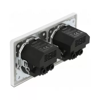 Delock sienas kontaktligzda ar 2 ligzdām un 4 USB pieslēgvietām, 2 x 2,8 A