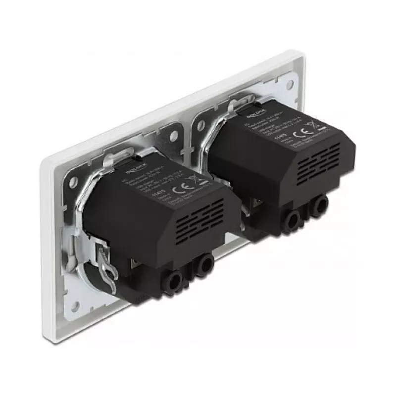 Delock sienas kontaktligzda ar 2 ligzdām un 4 USB pieslēgvietām, 2 x 2,8 A
