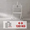 Grīdas TV statīvs MACLEAN MC-114 W displejiem 55 collas–100 collas, balts, VESA līdz 900x600, maks. slodze 120 kg, augstums 115–152 cm, plaukts