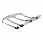 Saskarnes karte DeLOCK 89083