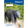 Mākslas papīra bloks Pelikan 224840