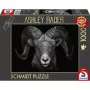 Ashley Rader: Dominance - Widder, Im Zeichen des Feuers, Puzzle 1000 gab.