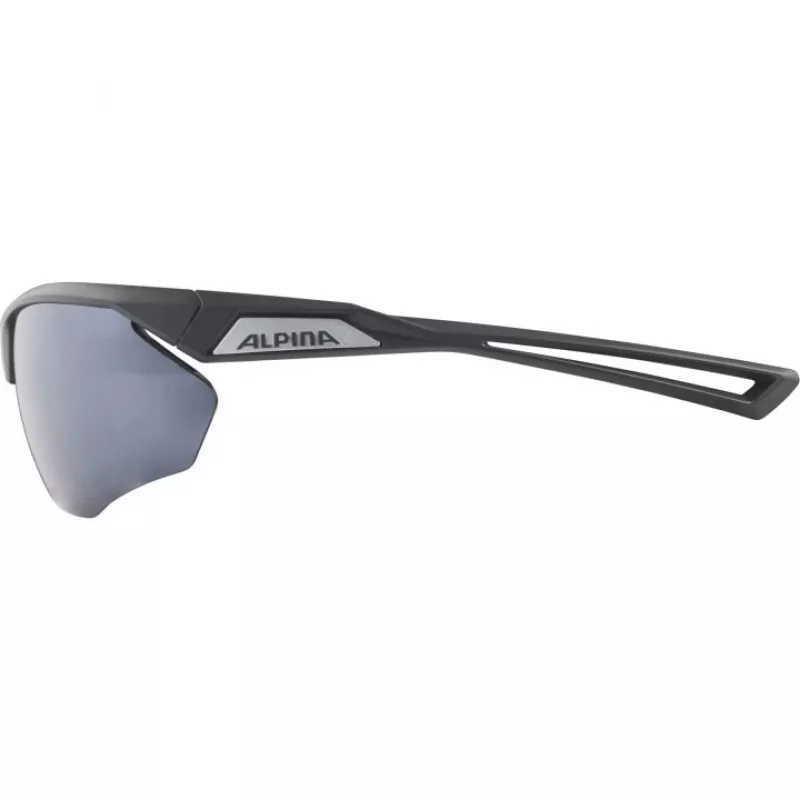 Alpina Nylos HR saulesbrilles 3. kat. pelēkas