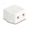 Iespiežams rāmis DeLOCK 85843 plastmasa balts 545x573x324 mm