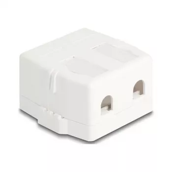 Delock 85843 Keystone tukšs korpuss, 2 portu, ar magnētisko pamatni, balts