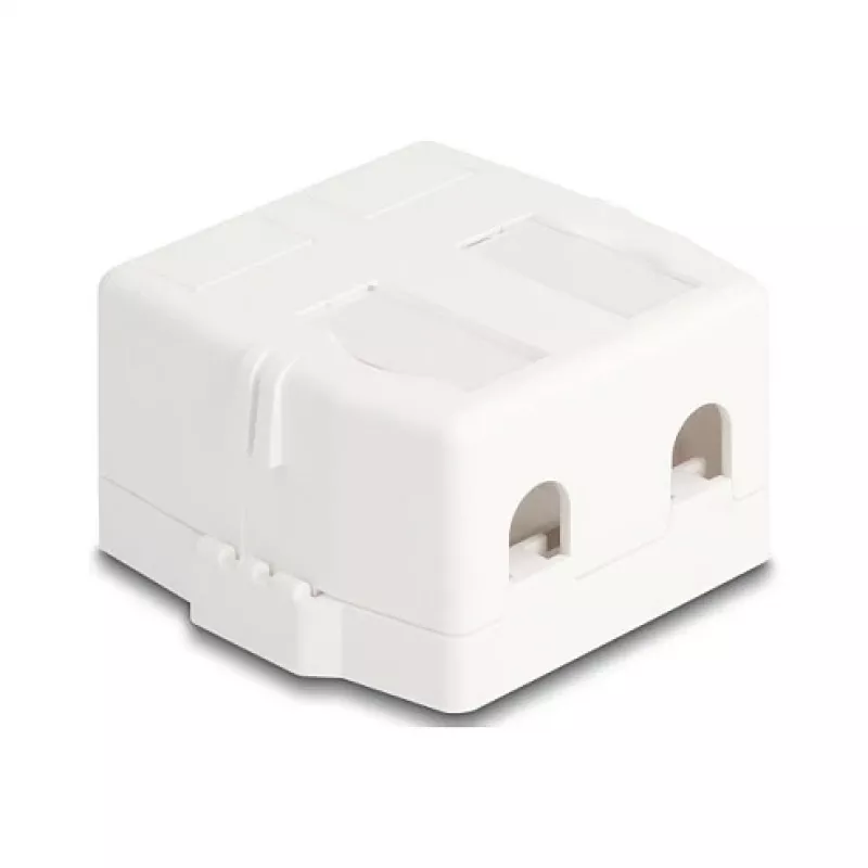 Iespiežams rāmis DeLOCK 85843 plastmasa balts 545x573x324 mm