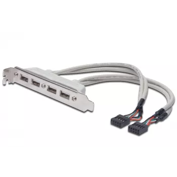 Slot Bracket kabelis USB 2.0 HighSpeed Type 2xIDC (5pin)/4xUSB A M/F pelēks 0,25m