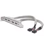 Slot Bracket kabelis USB 2.0 HighSpeed Type 2xIDC (5pin)/4xUSB A M/F pelēks 0,25m