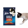Mitrā kaķu barība Purina Felix ar augstu olbaltumvielu saturu 100 g paciņā — zivju un vistas garša, pieaugušiem kaķiem, iepakojumā 120 gab.