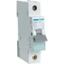 Automātiskais aizsargslēdzis Hager MBN110 1P, 10 A, 50–60 Hz