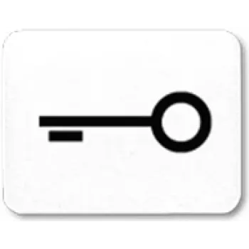 JUNG 33 T WW Symbol aws durvis