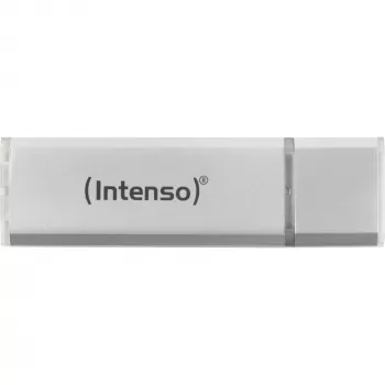 USB zibatmiņa Intenso 256 GB USB Type-A 3.2 Gen 1 Sudraba