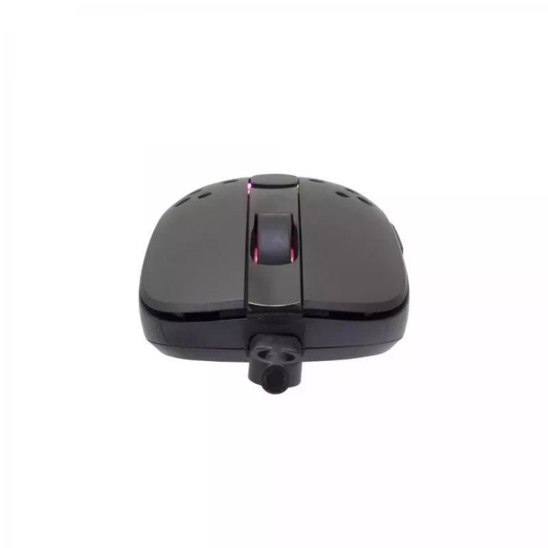 Pele White Shark TRISTAN USB Type-A
