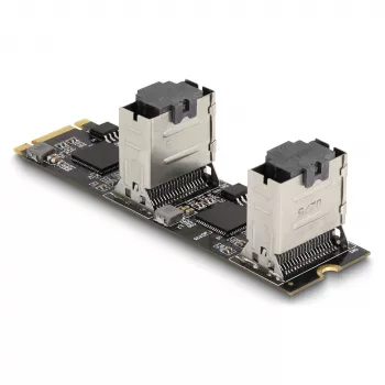 DeLOCK pārveidotājs M.2 2280 Key B+M vīrišķais uz 8 x SATA