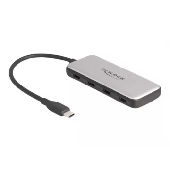 DeLOCK 64261 USB 3.2 Gen 1 Type-C centrmezgls 10000 Mbit/s Melns Pelēks