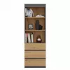 Biroja grāmatu skapis top e shop RS-60 ANT/ART KPL — 3 plaukti, skaidu plāksne, 600×350×1800 mm