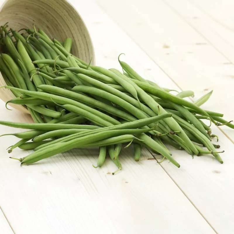 Nomad Green pundurpupu sēklas, 50 g - dārzeņu sēklas