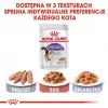 ROYAL CANIN FHN Sterilised mērcē - mitrā barība pieaugušiem kaķiem - 12x85g