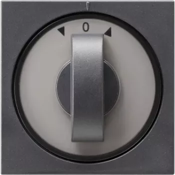 GIRA 066628 Sienas plāksne/slēdža pārsegs antracīta krāsā (066628)