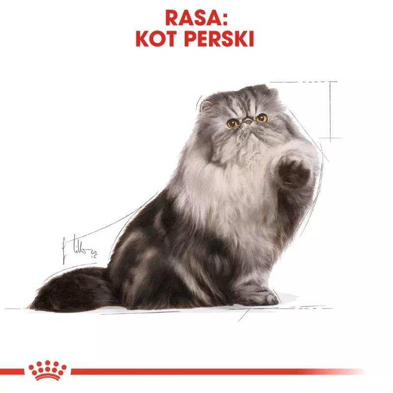 Sausā kaķu barība Royal Canin Persian 4 kg — pieaugušiem persiešiem, vista, 30% olbaltumvielu, 22% tauku
