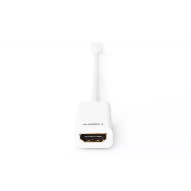 DisplayPort adapteris Digitus AK-340404-001-W